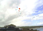 Balloon Release Maui